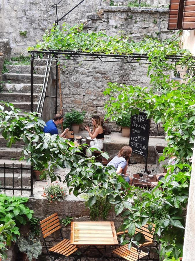 Bed & Breakfast Antico Motovun Exteriör bild