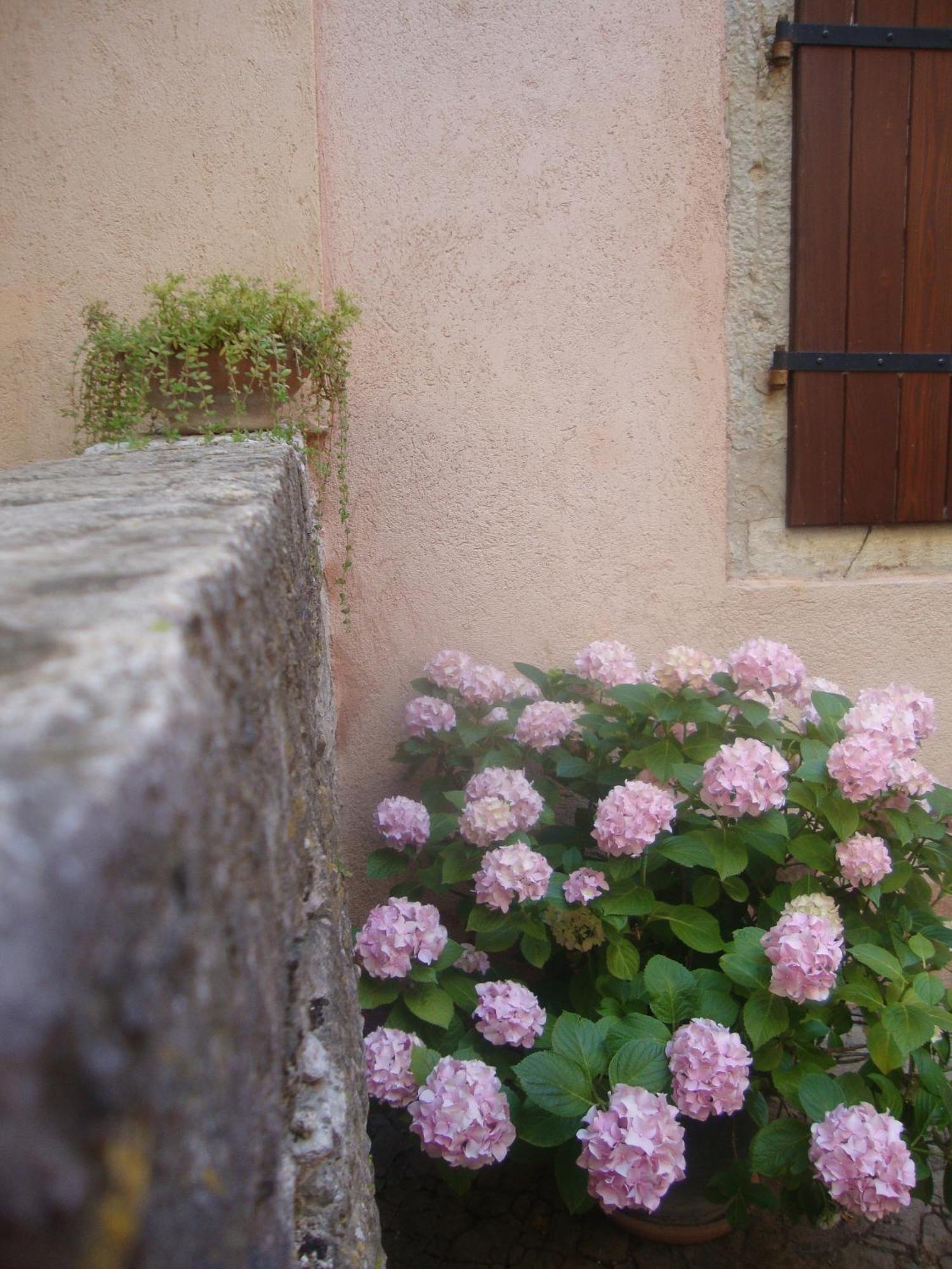 Bed & Breakfast Antico Motovun Exteriör bild