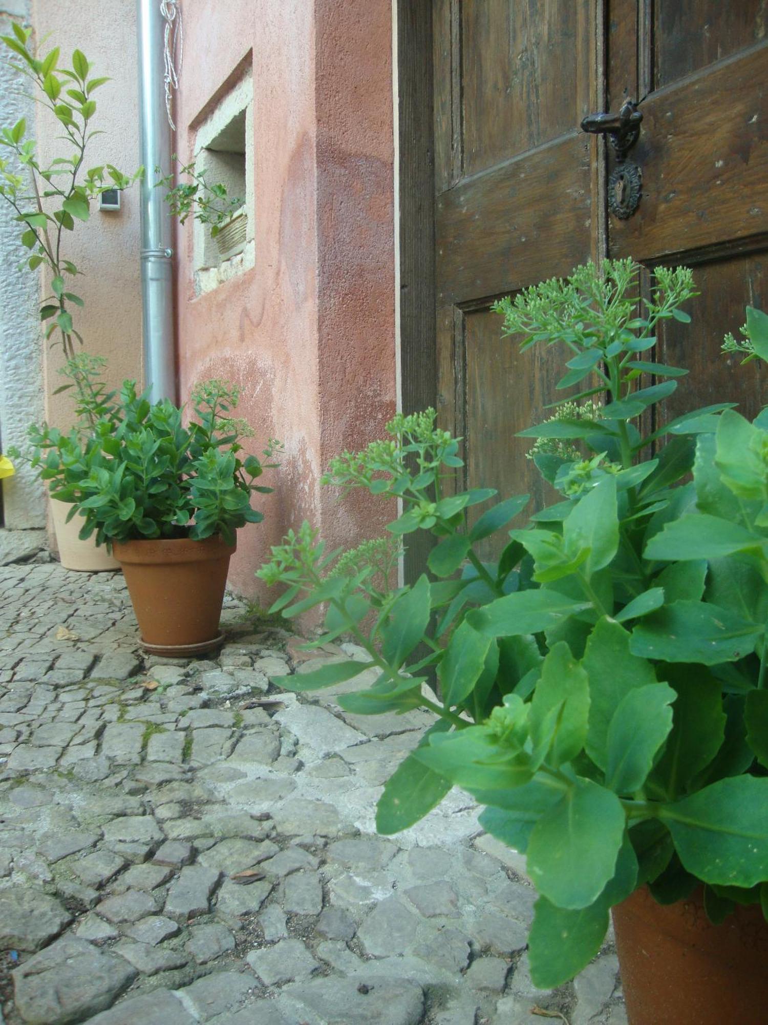 Bed & Breakfast Antico Motovun Exteriör bild
